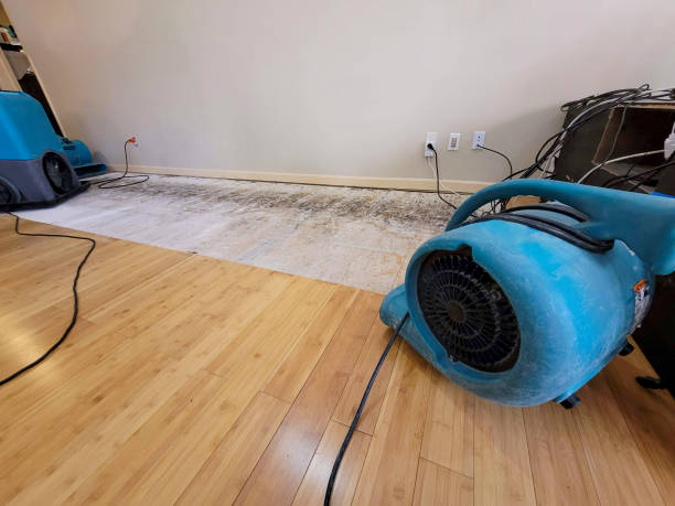 Professional Flood Damage Cleanup technician working in Esperance, WA